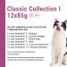 Catz Finefood Multipack - 12 x 85g Gourmet Wet Cat Food | Poultry Veal Herring Salmon & More | Delicatessen Variety Pack - Buy Online on GoSupps.com
