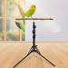 16-63 Inch Height Adjustable Bird Perch Stand Natural Pepper Wood Parrot Perch Toy Bird Training Perch Stand Indoor and Outdoor Bird Stands for Small to Medium Bird - Buy Online on GoSupps.com