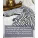 Praniva Microwavable Neck Warmer & Weighted Eye Mask Set - Muscle Relaxation & Pain Relief - Lavender & Eucalyptus Aromatherapy - Grey Zebra - Buy Online on GoSupps.com