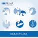 Buy PRIMA Home Test - C-Reactive Protein (CRP) Test - Detect High/Low Values - Swiss Quality - Fast International Shipping - Buy Online on GoSupps.com