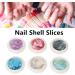 6 Boxes Irregular Seashell Slices Nail Art Glitter Sequins Seashell Nail Glitter Sequins 3D Nail Art Crushed Sea Shell 3D Laser Nail Flakes Irregular Iride - Buy Online on GoSupps.com