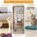 Shop Gohhme 16-Piece Interactive Cat Toy Set with Springs & Feathers - Suction Cup Fun for Kittens - Multicolored | International Shipping Available - Buy Online on GoSupps.com