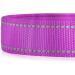Reflective Padded Dog Collar for Small & Large Dogs - Adjustable Soft Neoprene in Purple (25-35cm) | PCEOTLLAR - Buy Online on GoSupps.com
