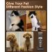 oneisall 2-Speed Cordless Pet Grooming Clippers for Matted Thick Hair - Low Noise Dog and Cat Grooming Kit in Black - Buy Online on GoSupps.com