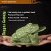Jade Frog with Coin in Mouth - Jade Money Frog Money Frog Feng Shui with Coin Jade Money Toad Statue Attract Wealth and Good Luck (11 cm) - Buy Online on GoSupps.com