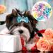 Dog Hair Bows with Rubber Bands 20 Pcs Cute Crown Pearl Bow Dog Hair Bands Hair Rope Pet Hair Accessories Grooming Products for Puppies Cats Small Animals - Buy Online on GoSupps.com