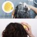 2-Pack Hair Scalp Massager Brush - Soft Silicone Shampoo Brush for Wet & Dry Use (Yellow & Grey) - Buy Online on GoSupps.com