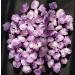 Crystal Rough Home Decoration 500g Natural Skeletal Purple Amethyst Cluster Quartz Crystal Point Display Specimen s - Buy Online on GoSupps.com
