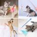 Easy Joy 11-Piece Interactive Cat Toy Set | Feather Telescopic Fishing Rod for Small & Large Cats - Buy Online on GoSupps.com