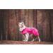 Buy Rukka Pets HASE Raincoat for Dogs - Stylish Raspberry Waterproof Jacket for All Sizes - Buy Online on GoSupps.com