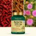 VAHDAM Berberine 97% HCL 1200mg Extract with Cinnamon and Milk Thistle | Supports Heart Health and Helps Maintain Healthy Cholesterol & Glucose Metabolism | 90 Veg Capsules - Buy Online on GoSupps.com