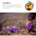 16oz Bulk Size Lavender Essential Oil - Therapeutic Grade, 16 Fl Oz Bottle, 1 Pound - Pack of 1 - Buy Online on GoSupps.com