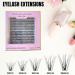 40D False Eyelashes - 240 Pieces Natural Black Individual Lash Extensions | Reusable Wispy & Natural Look (8-16mm Mix - Buy Online on GoSupps.com