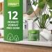 Prinox Green Cleaning Stone 950g - Eco-Friendly All-Purpose Cleaner & Sponge | Sustainable Kitchen Bathroom Window & Sneaker Cleaner | 2-Pack Annual Supply - Buy Online on GoSupps.com