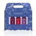 Fragrance Essential Oils Blend Gift Set (Winter Set 3X 10ml / 3X 0.34fl.oz) Winter Set 1.02 Fl Oz (Pack of 1)