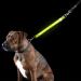 Furhaven Pet Hands-Free Bungee Dog Leash with LED Collar and Safety Features - Multiple Colors and Sizes - Buy Online on GoSupps.com