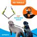 Buy 2-in-1 Jogging Line & Leash for Large/Medium Dogs | Double Handle Belly Belt Ideal for Walking & Hiking | Green | International Shipping - Buy Online on GoSupps.com