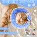 Adjustable Cat Collar & Foldable Recovery Cone | Prevents Licking Wounds for Kittens - Cats Rullenkruff - Buy Online on GoSupps.com
