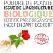 Organic Ginseng 300 mg - 200 capsules - Ecocert certified - Orgaliane - Buy Online on GoSupps.com