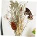 RORPOIR Decorative Artificial Flower Color Dried Wheat Bouquets 15pcs Home Decor Natural Dried Flowers Wheat Artificial Flower Wheat Sheaf Bundle DIY Home Decor - Buy Online on GoSupps.com