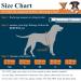 Vivaglory Adjustable Dog Swimming Vest for Small & Medium Dogs - Easy-On Sporty Design Blue XS (43-51 cm Ribcage Girth) - Buy Online on GoSupps.com