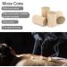 Jauarta 108pcs Moxa Cone Set - Premium Moxibustion Acupuncture Massager for Effective Health Care | International Shipping Available - Buy Online on GoSupps.com