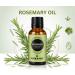 Earth N Pure Rosemary Essential Oil for Hair Growth Natural & Therapeutic Grade with Glass Dropper - 100 ml - Buy Online on GoSupps.com