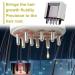 ACBOOR 2-in-1 Electric Hair Oil Applicator & Scalp Massager Brush for Hair Treatment & Essential Oils - Buy Online on GoSupps.com