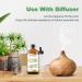 EUQEE Citronella Essential Oil 118ml - Pure Aromatherapy Oil for Diffusers and Humidifiers - Buy Online on GoSupps.com