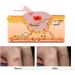 Official LASTEK 650/808nm LLLT Body Pain Relief Device Red Light Therapy Instrument For Human & Animals Rechargable Portable Home Use AC110V/AC220V - Buy Online on GoSupps.com