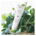 Mineral Rich Day Cream | Intense Hydration & Protection | Vegan | Hyaluronic Acid & Swedish Canola Oil | Softens Dry Skin - 1.69 Oz - Buy Online on GoSupps.com