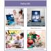 Paint by Numbers Kit for Adults and Kids - Landscape Painting on Canvas - DIY Colorful Oil Painting - Home Wall Decor - 6 Pack (8x12 in) - Buy Online on GoSupps.com