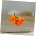 Ciieeo String Foam halloween fake fruit egg fruit branch decorations artificial fruit bunch crafts fruit flowerpot decorate puzzle skull fake fruit skewers Model fruit skewers Toy - Buy Online on GoSupps.com