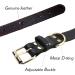 Tagme Personalized Leather Dog Collar - Engraved Name & Phone Number for Medium & Large Dogs - Black L (1 Pack) - Buy Online on GoSupps.com