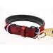 Premium XXL Leather Dog Collar - Padded & Robust Ideal for Large Medium & Small Dogs - Sniffing Fans Design in Red - Buy Online on GoSupps.com