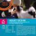 Wellness Core Small Breed Adult Ocean Dog Food - Grain-Free High Meat Salmon & Tuna 1.5 kg - Premium Nutrition for Small Dogs - Buy Online on GoSupps.com