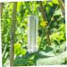 POPETPOP 4pcs Shaped Growth Mold Ginseng Transparent Fruit Shaping Mold Acrylic Small Fruit Vegetable - Buy Online on GoSupps.com
