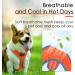 ThinkPet No-Pull Dog Harness & Leash Set - Breathable Adjustable Safe Control for Small Medium & Large Dogs - Reflective Padded Orange (1 Pack) - Buy Online on GoSupps.com