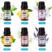 Scented Candle Making Kit with Soy Wax, Wicks, Oils, Dyes, Melting Pot - DIY Supplies for Festival Gifts - Adults and Kids - Black - Buy Online on GoSupps.com