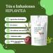 Olive Apple & Mint Infusion 100% Organic 100g (50 cups) | Olive Leaves Infusion with Hibiscus and Peppermint REPLANT A  - Buy Online on GoSupps.com