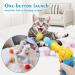 SXFENG Cat Toys Interactive Cat Toy 100pcs Cat Pom Pom Balls with Cat Toy Launcher Cat Toy for Cats and Kittens Toy for Indoor Pets Cat Exercise Training Chasing (100pcs) - Buy Online on GoSupps.com