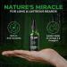 Be.ardo Beard Oil for Men 30 ml | Daily Repair Hemp Beard Oil for Healthy Beard | Non-Sticky Light Hemp Seed Oil for Shiny Nourished Beards | Promotes Beard Growth - Buy Online on GoSupps.com