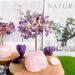 Xiannvxi Crystals Tree of Life Decoration | Amethyst & Rose Quartz Feng Shui Bonsai | Natural Gemstone Happiness Reiki - Buy Online on GoSupps.com