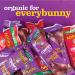 Annie's Organic Chewy Granola Bars - Peanut Butter Chocolate Chip, 5.34 oz (12 Pack) - Healthy Snack Choices - Buy Online on GoSupps.com