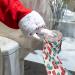 Christmas Decorative Toilet Paper | Soft Printed Toilet Paper | Sturdy Paper Roll for Birthday Party Favors Cute Festival Decorations for Indoor and Outdoor Dobooo - Buy Online on GoSupps.com
