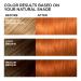 L'Oreal Paris Feria C74 Intense Copper Hair Color 2-Pack - Permanent Hair Dye - Buy Online on GoSupps.com