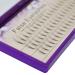 Scala Pro 3D Mink Phoenix Tail False Eyelashes Cluster 5 Root C Curl Extension - 13MM - Buy Online on GoSupps.com
