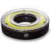 LED Light Up Night Golf Putting Cup - Windy City Novelties - Buy Online on GoSupps.com