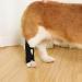 Dog Rear Leg Brace Waterproof Dog Brace Canine Rear Hock Support Prevent Licking for Puppy for Leg Wounds (L) - Buy Online on GoSupps.com