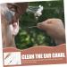 Ear Cleaning Kit - Disposable Ear Wax Removal Tool Set - 18.5x0.5cm - Buy Online on GoSupps.com